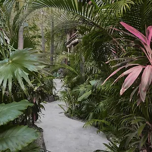 Boutique Terranova Hotel Tulum